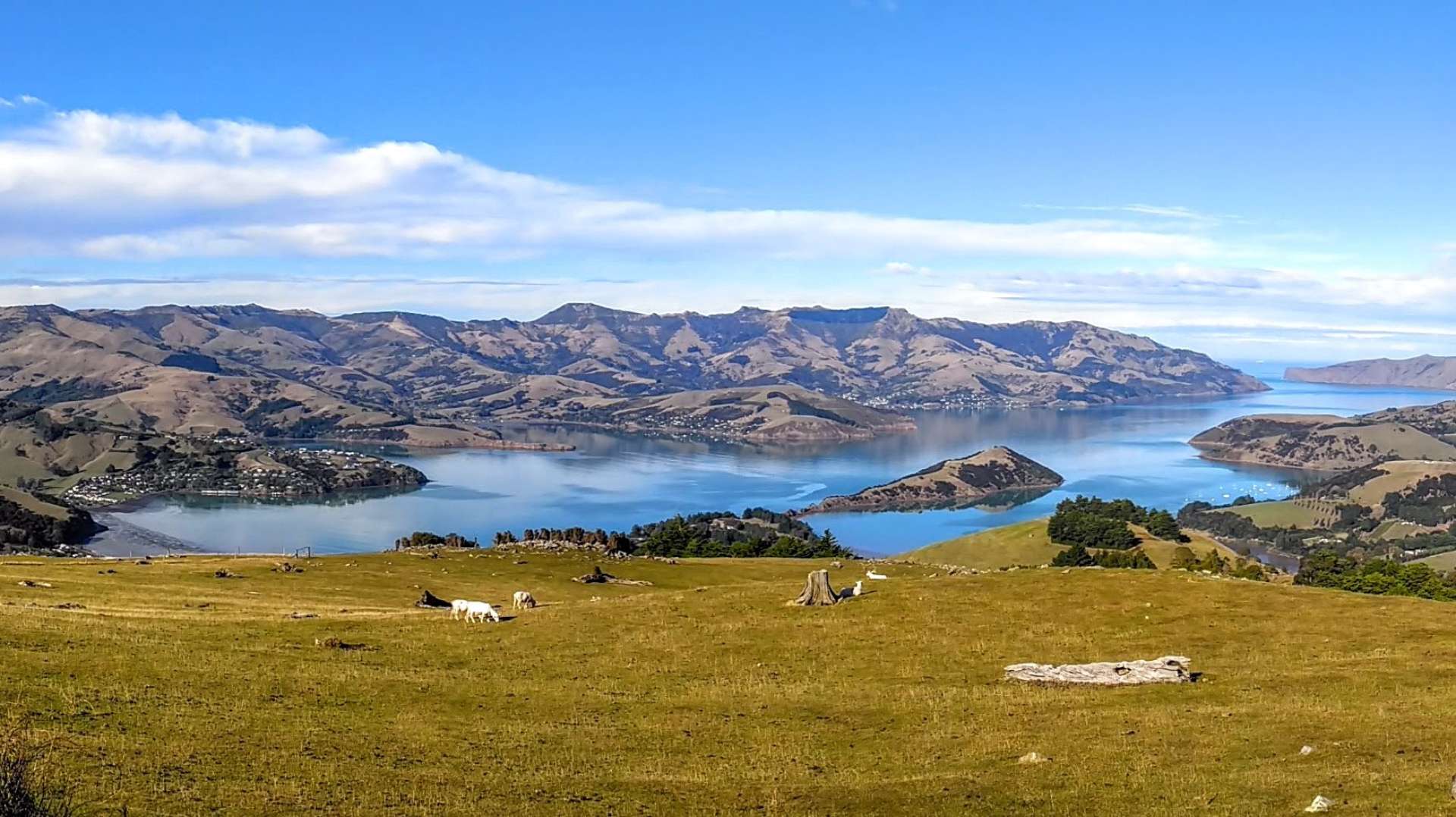 Akaroa Harbour